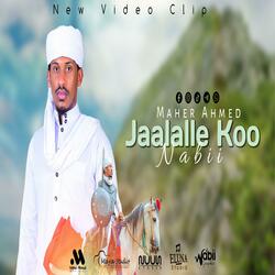 Jaalallee khoo
