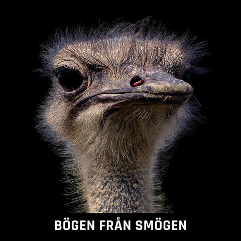 Bögen från Smögen