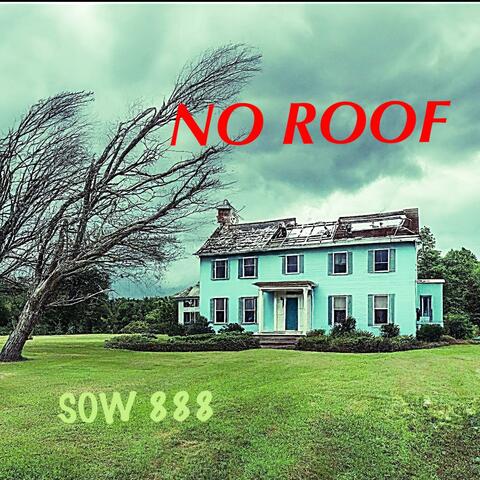 No Roof