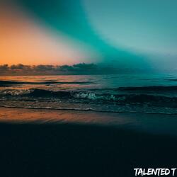 Faded (Talented T Version)