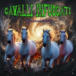 cavalli infuocati
