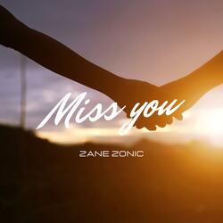 Miss you (Radio Edit)