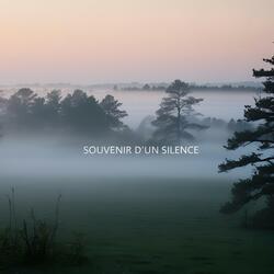 Souvenir d’un silence