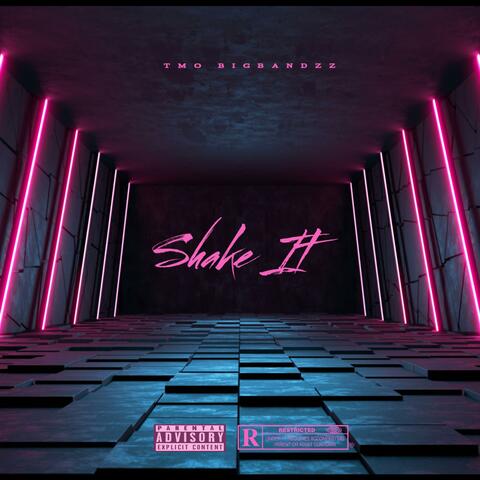 TMO BigBandzz "Shake It"
