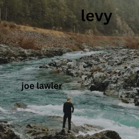 Levy