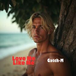 Love Me Like Me