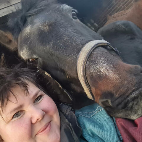 Mein Herz für mein Pferd ... V 2