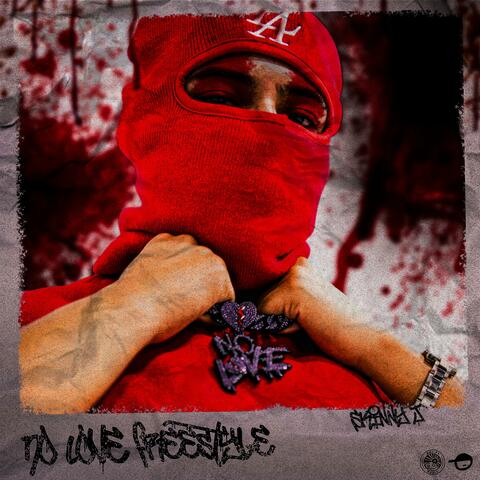 NO LOVE FREESTYLE