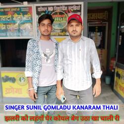 झलरी को लहंगों पेर कोयल बेग उठा खा चाली री