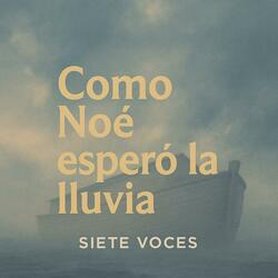 Como Noé esperó la lluvia