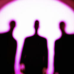 Shot In The Dark