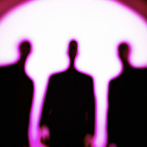 Shot In The Dark