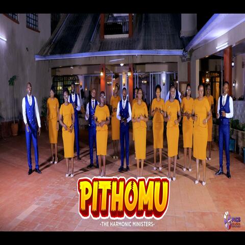 Pithomu