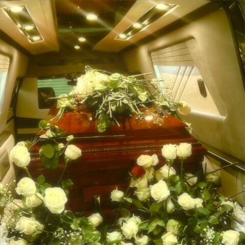 Velvet Casket