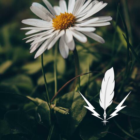 The Spring Collection