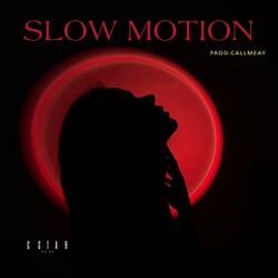 Slow Motion (Special Version) (feat. B N D L O)