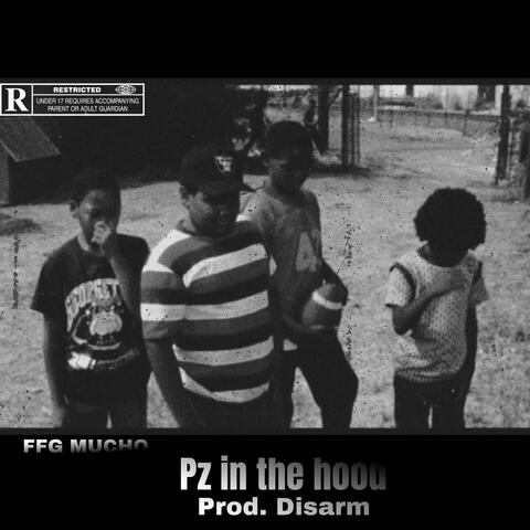 P'z in the hood (feat. Prod. Disarm)