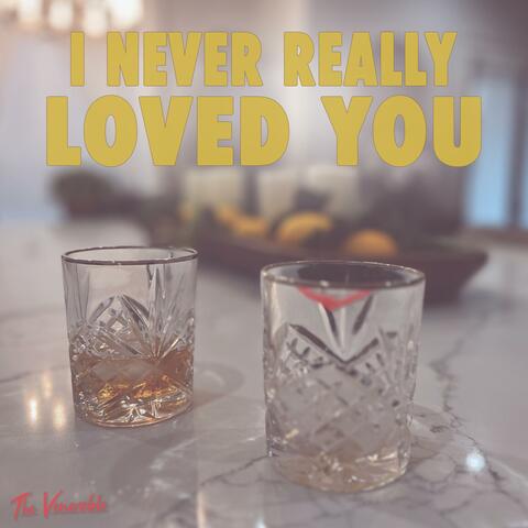 I Never Really Loved You (feat. Libra) [Radio Edit]