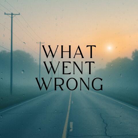 What Went Wrong