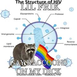 GAY RACCOONS ON MY DICK