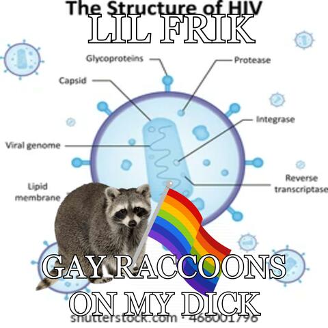 GAY RACCOONS ON MY DICK