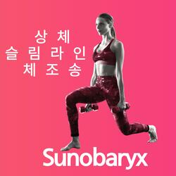 상체슬림라인체조송