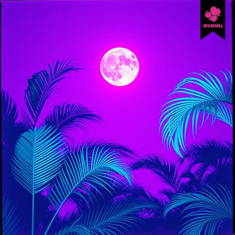 Seductive Lofi Nights
