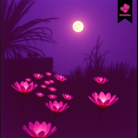 Sensual Chill Soundscapes