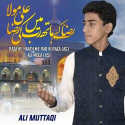 11 Zilqad Wiladat Imam Raza Manqabat | Raza Ke Hath Me Rab Ki Raza Ali Mola