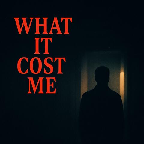 What it cost me