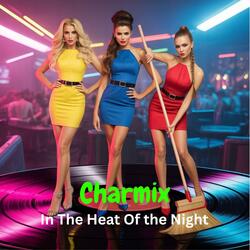 In The Heat Of The Night (Radio Edit)