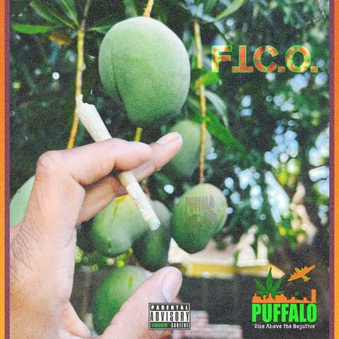 F.I.C.O (feat. A-Dubz & Rakolx)