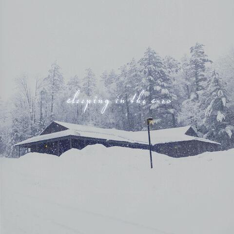 sleeping in the snow
