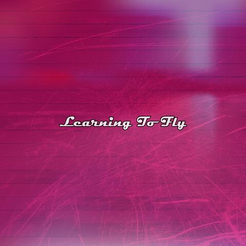 Learning To Fly