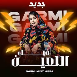 Garmi Viik la3in