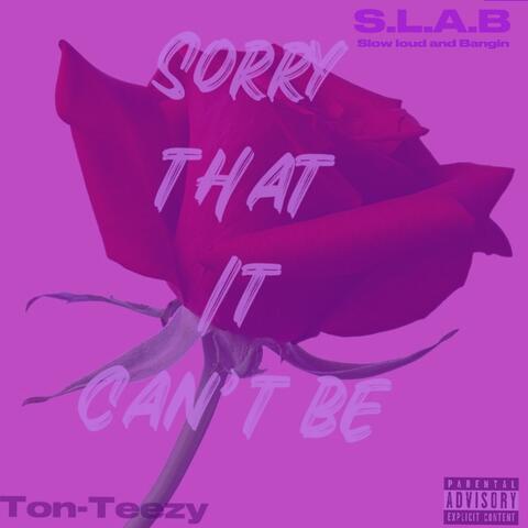 Sorry that it can't be (Slowed)