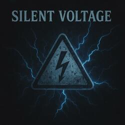 Silent Voltage