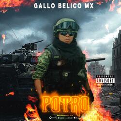EL POTRO V1