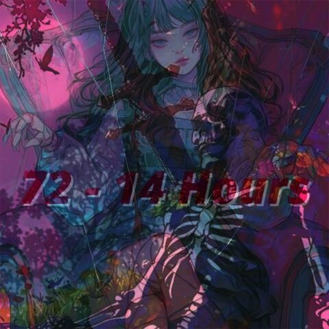 A Whole 14 Hours (feat. Hayyzeus)