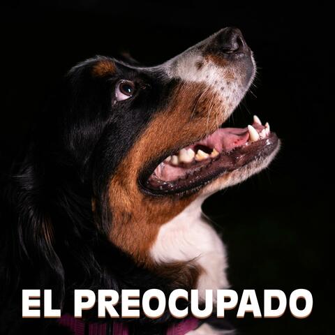 El Preocupado