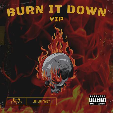 Burn It Down (VIP)
