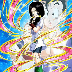 STR Videl