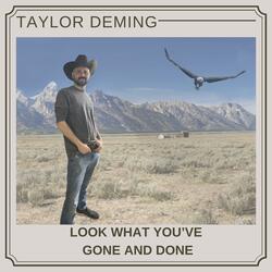 Look What You've Gone and Done
