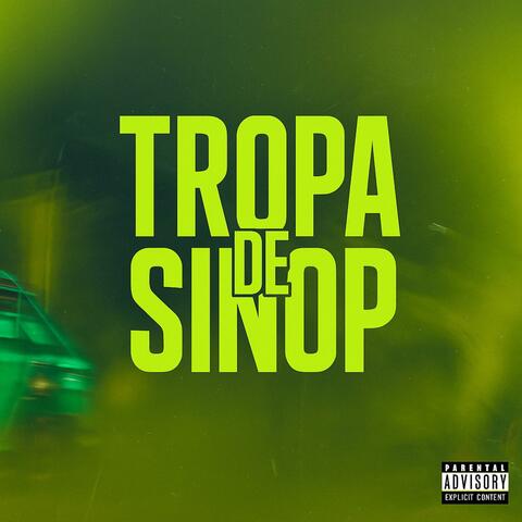 Tropa de Sinop