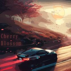 Cherry Blossom