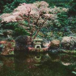 Secluded