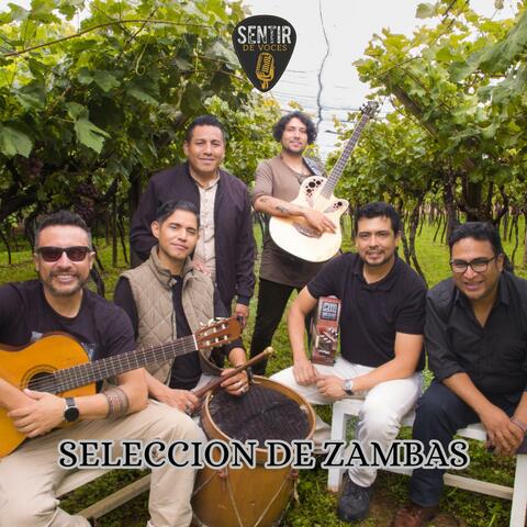 Seleccion de Zambas (Zamba y acuarela/ Tiempo Feliz/ Balderrama)