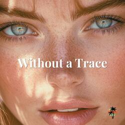 Without a Trace (feat. Rowan Chase)