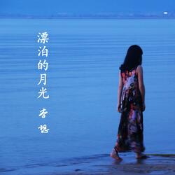 漂泊的月光
