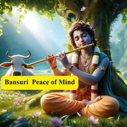 Bansuri Peace of Mind